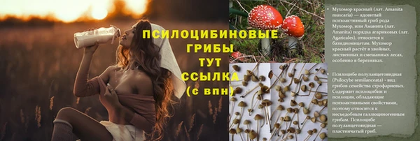 твердый Алзамай