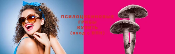 прущие крисы Новокубанск