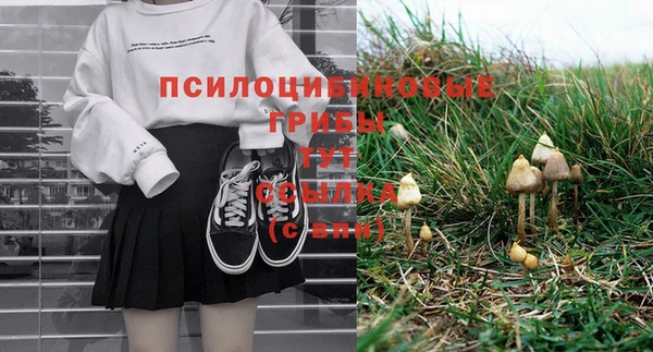круглые Алексеевка