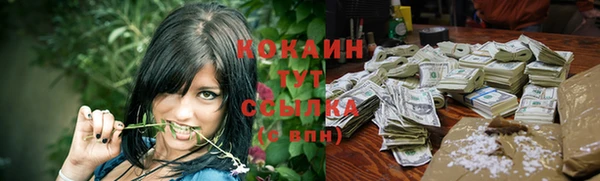 амф Новозыбков