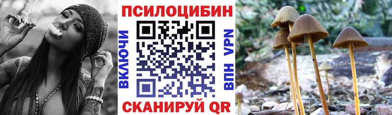 Псилоцибиновые грибы GOLDEN TEACHER Болхов